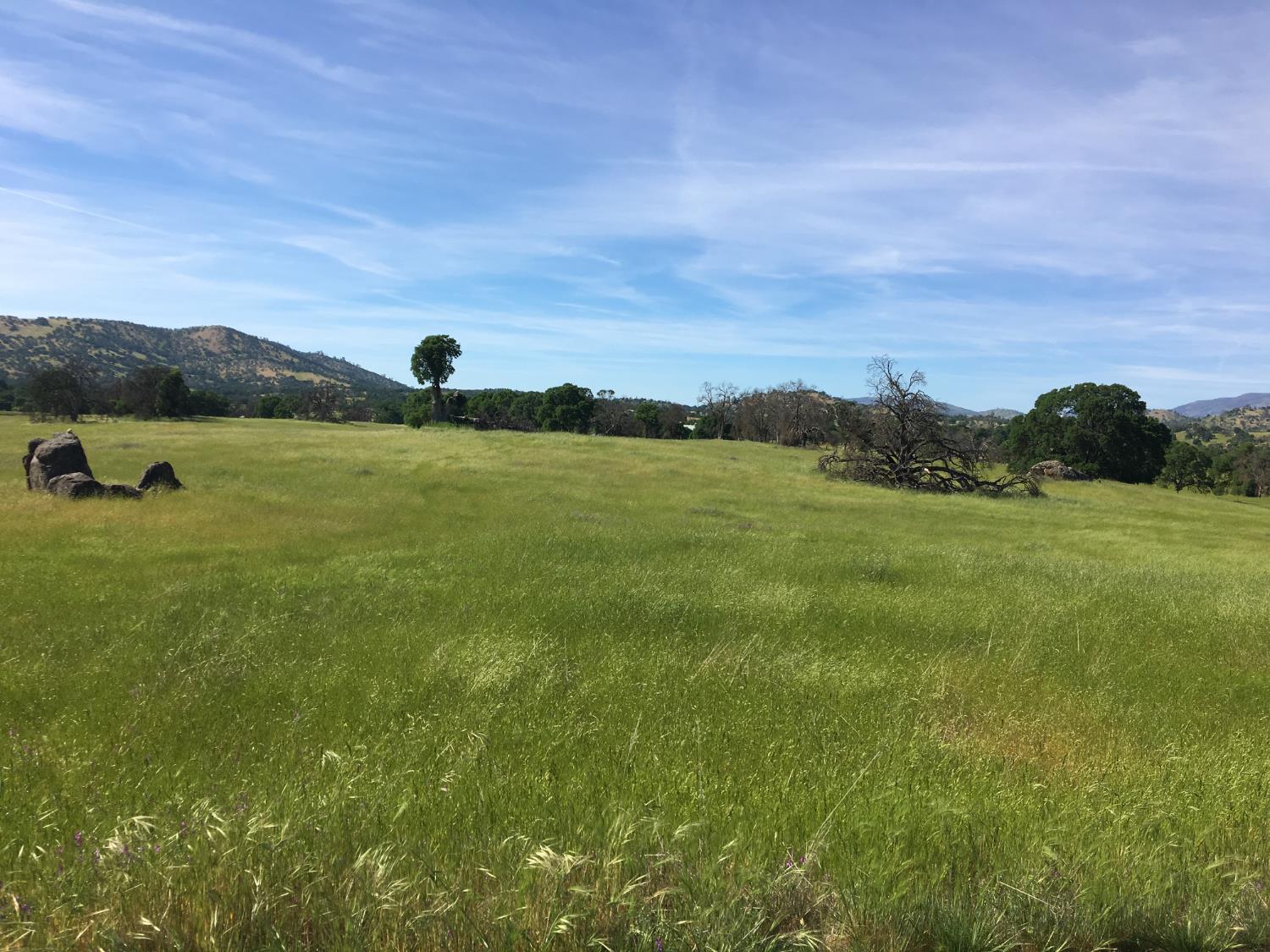 2187 Tinkers Penny Ln, Catheys Valley, CA 95306