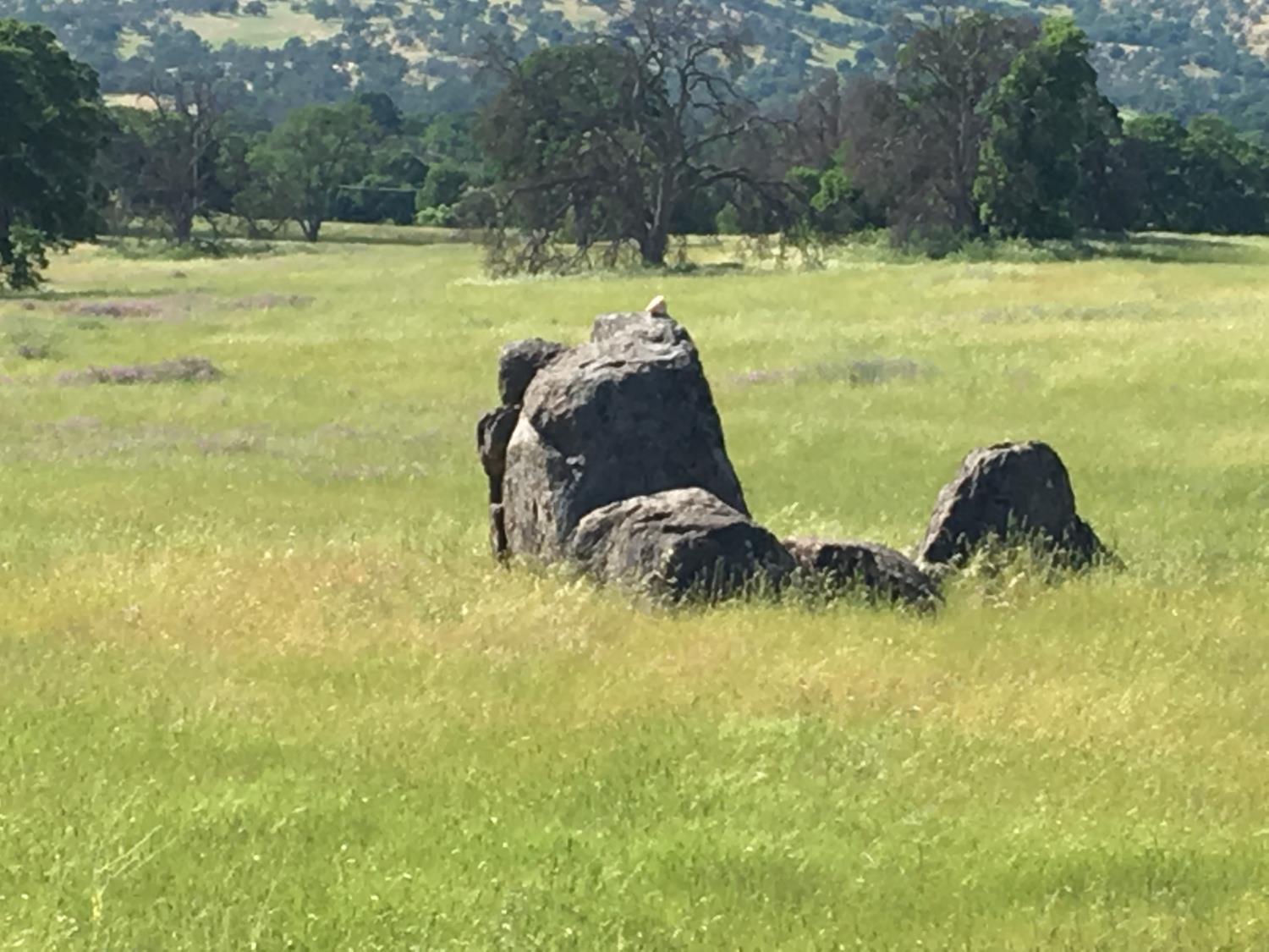 2187 Tinkers Penny Ln, Catheys Valley, CA 95306