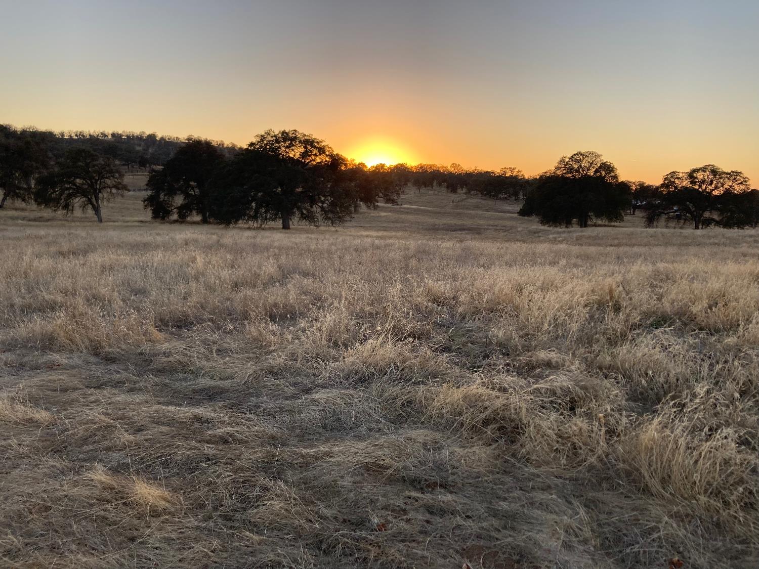 2187 Tinkers Penny Ln, Catheys Valley, CA 95306