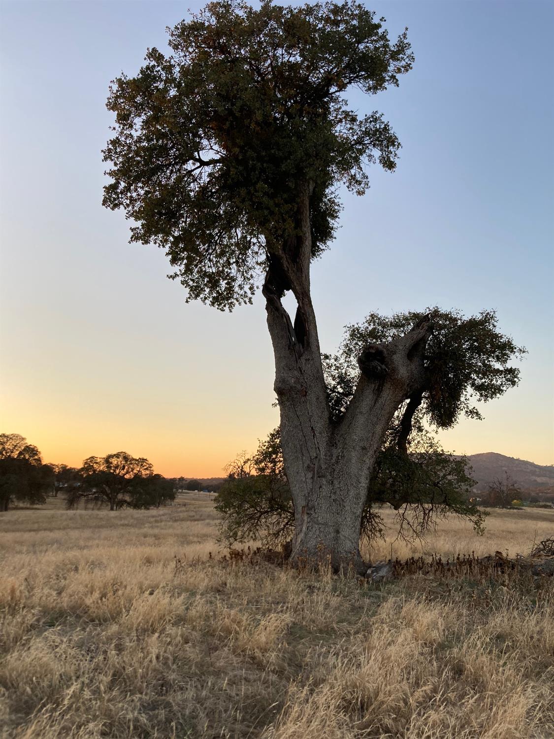 2187 Tinkers Penny Ln, Catheys Valley, CA 95306