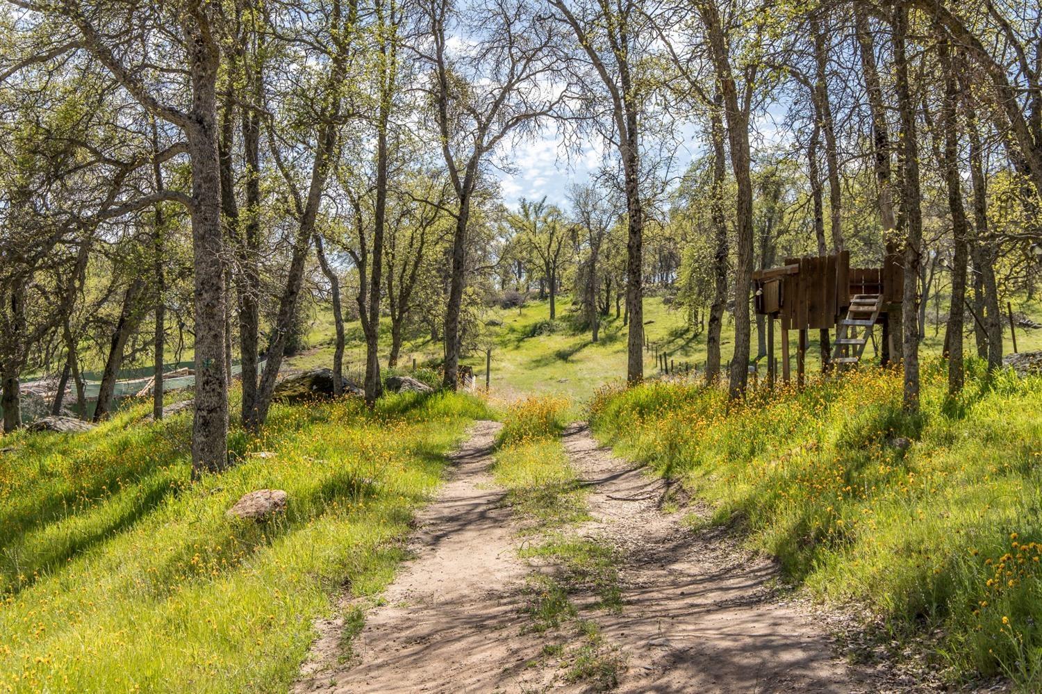 1321 Elwood Rd, Yokuts Valley, CA 93675