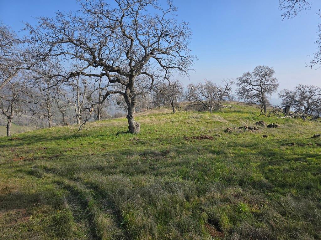 1 Big Springs Rd, Tollhouse, CA 93667