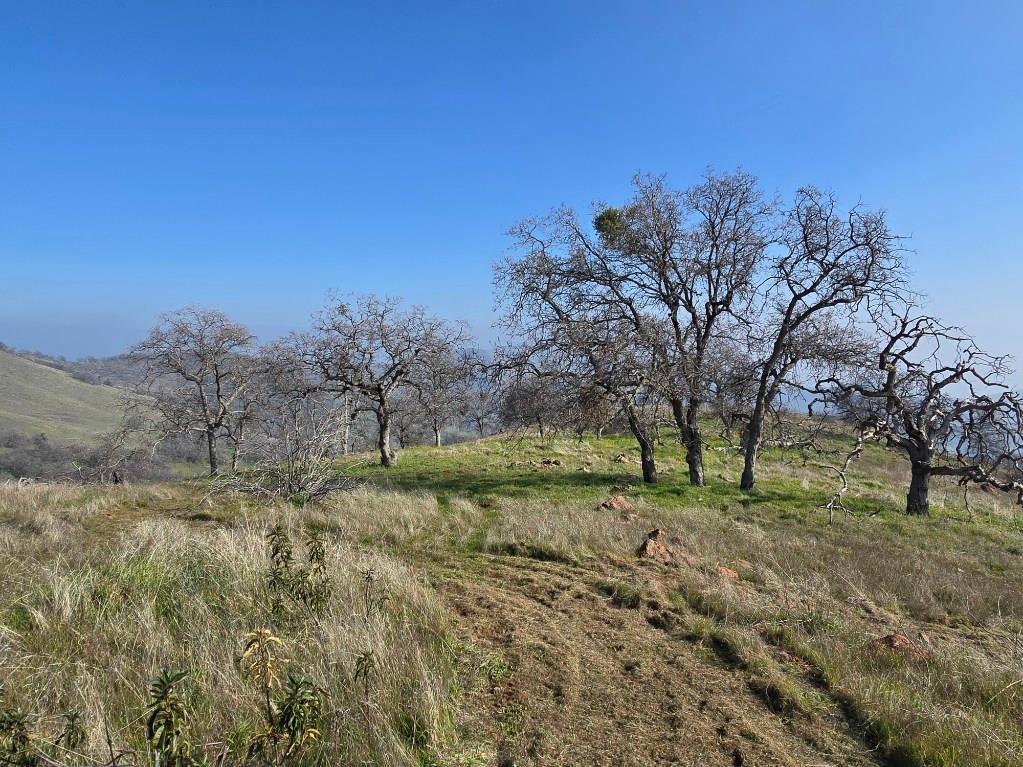 1 Big Springs Rd, Tollhouse, CA 93667