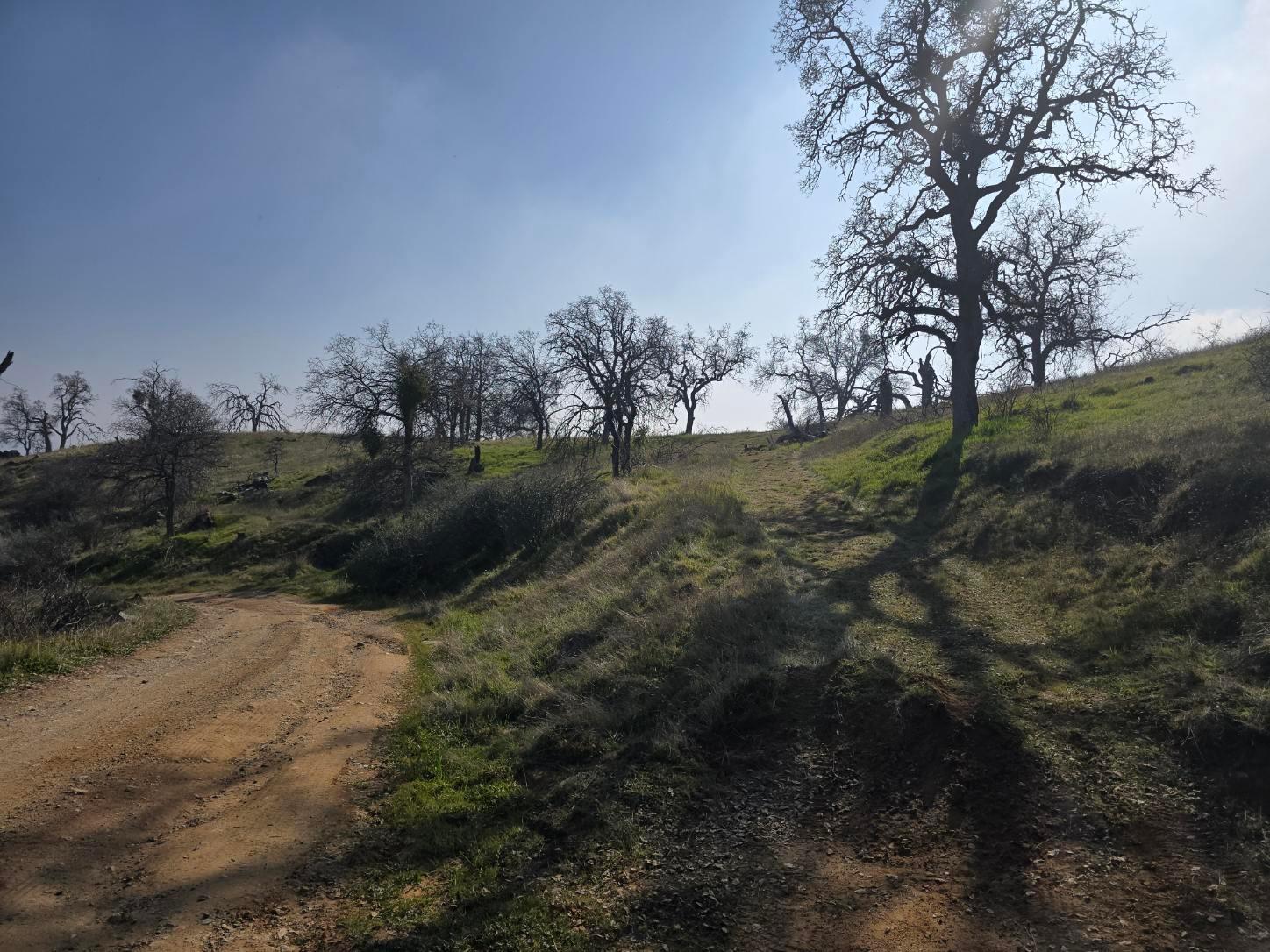 1 Big Springs Rd, Tollhouse, CA 93667