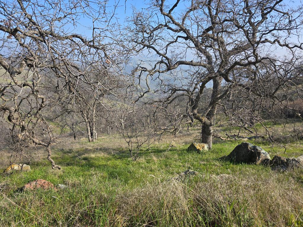 1 Big Springs Rd, Tollhouse, CA 93667