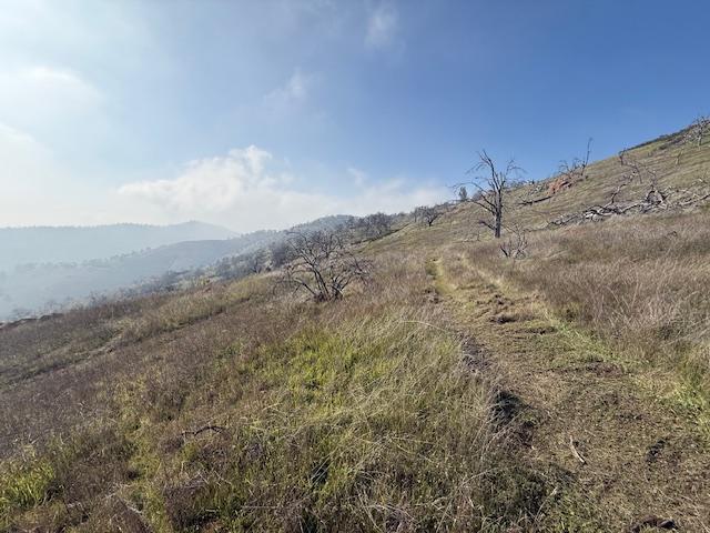 1 Big Springs Rd, Tollhouse, CA 93667