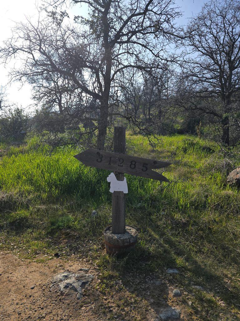 1 Big Springs Rd, Tollhouse, CA 93667