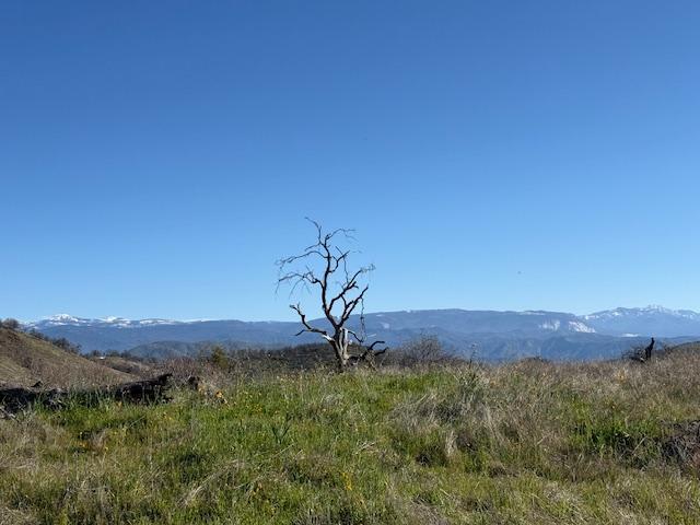 1 Big Springs Rd, Tollhouse, CA 93667