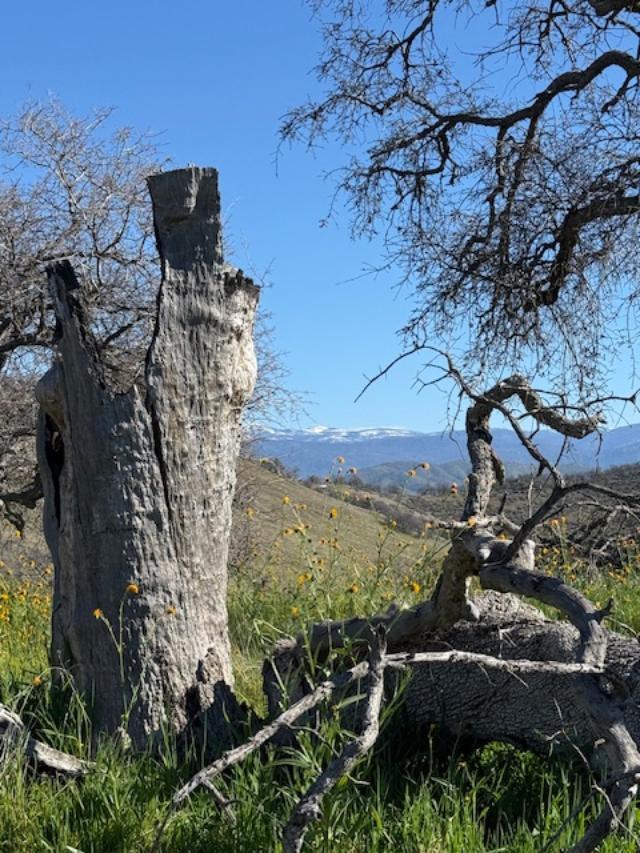 1 Big Springs Rd, Tollhouse, CA 93667