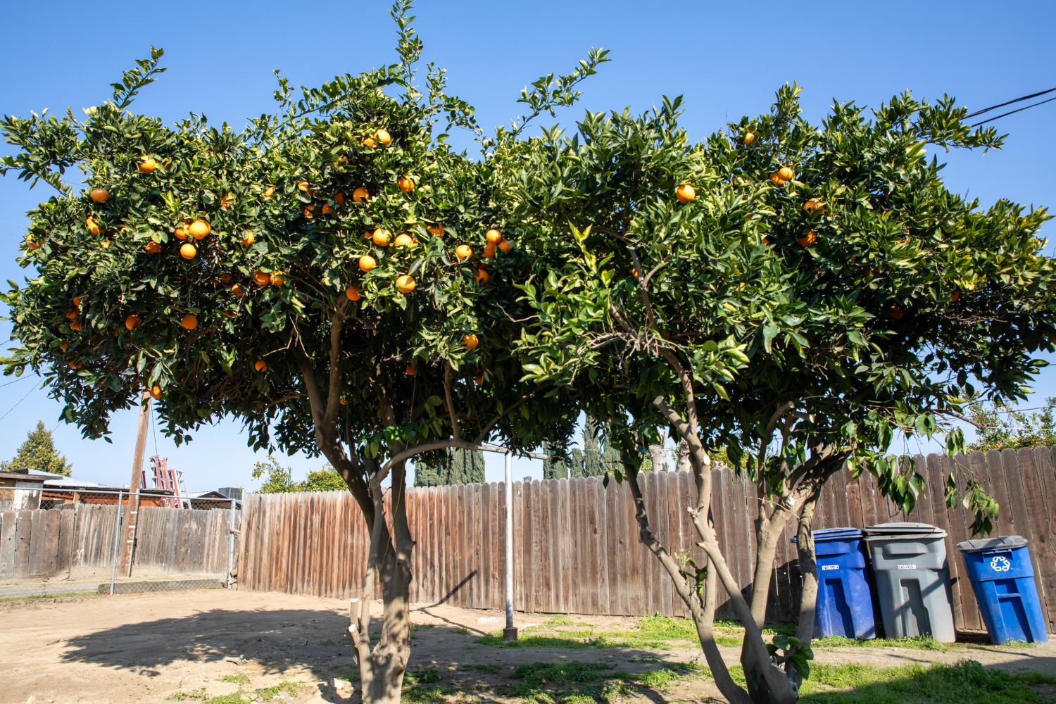 12644 W H, Biola, CA 93606