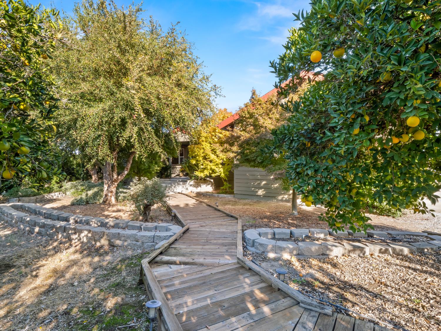 16787 Paula Rd, Madera, CA 93636