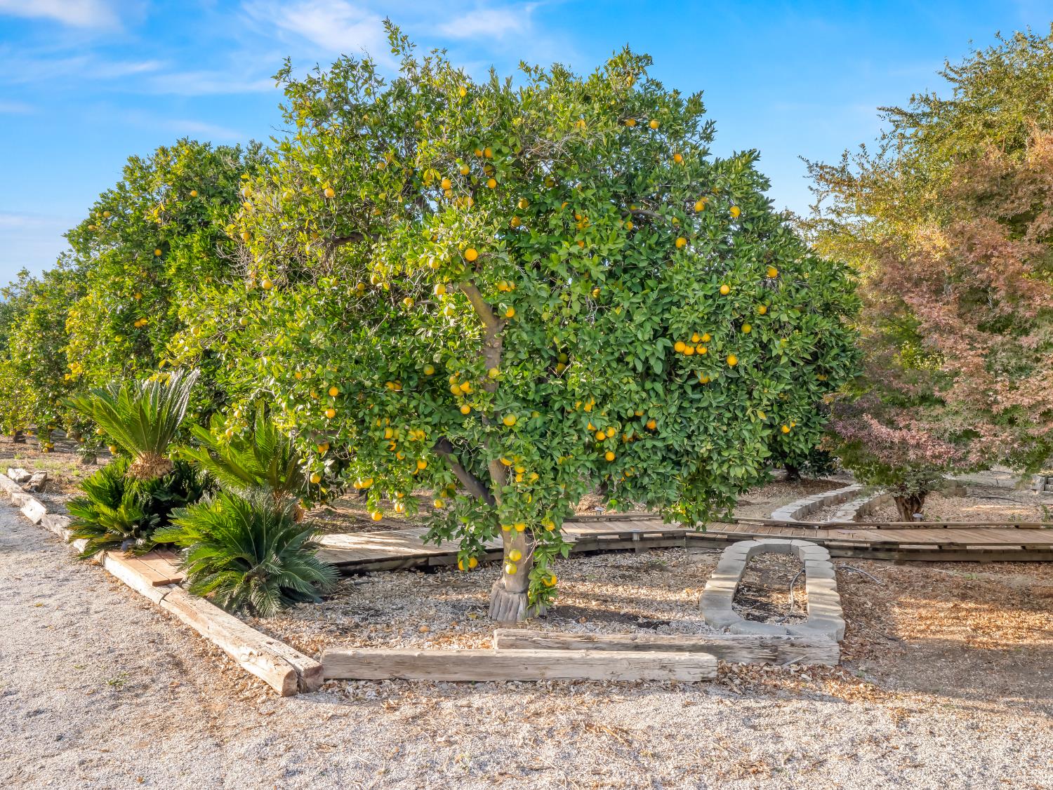 16787 Paula Rd, Madera, CA 93636