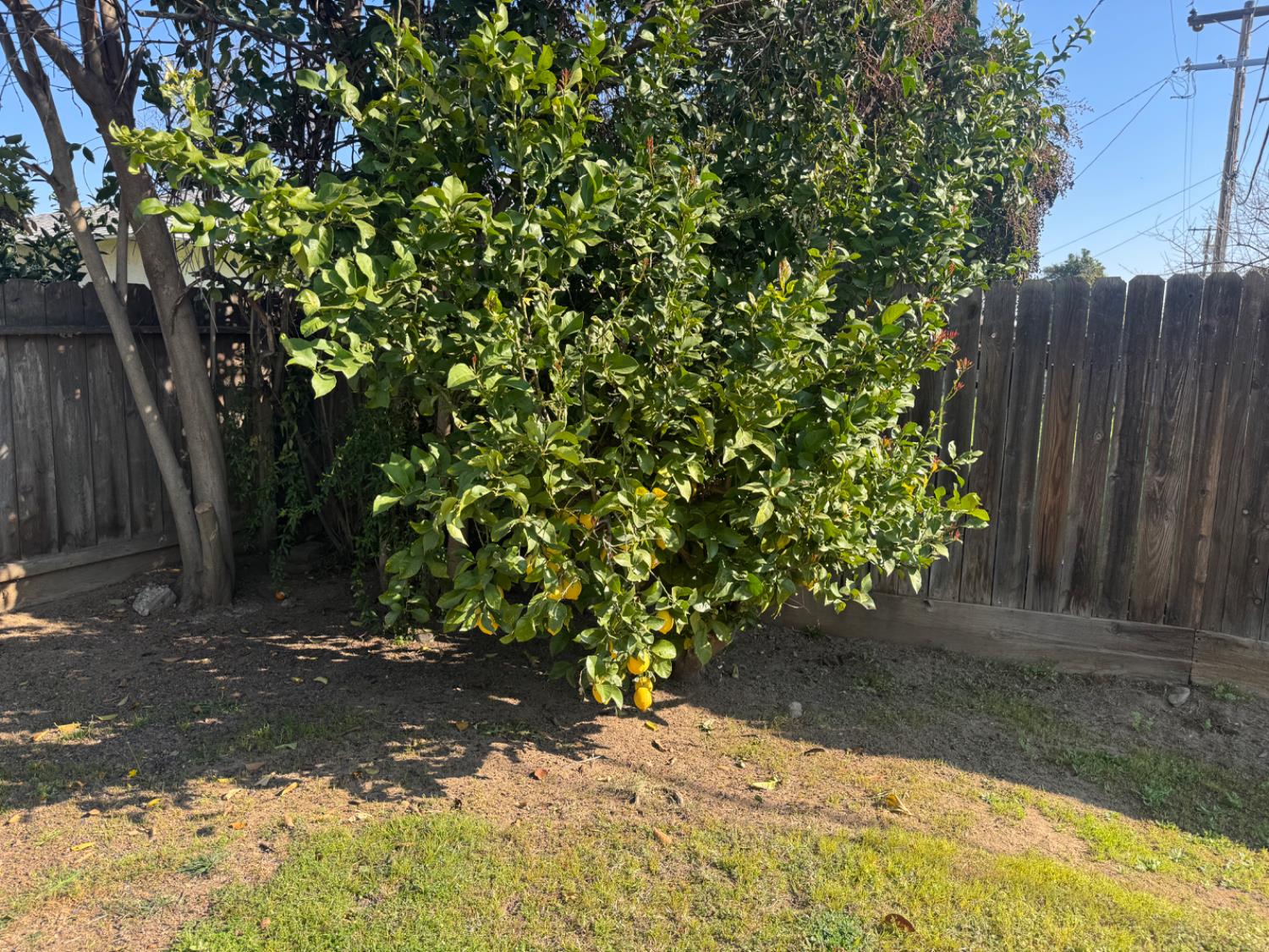 4656 N 5Th St, Fresno, CA 93726