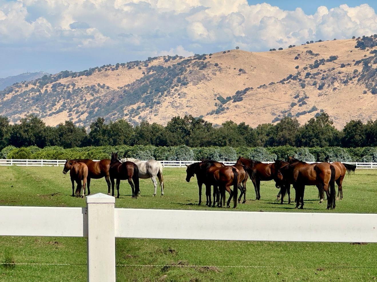 17281 E Belmont Ave, Sanger, CA 93657