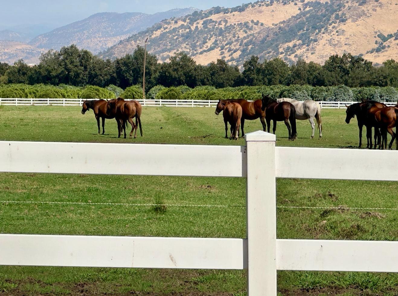 17281 E Belmont Ave, Sanger, CA 93657