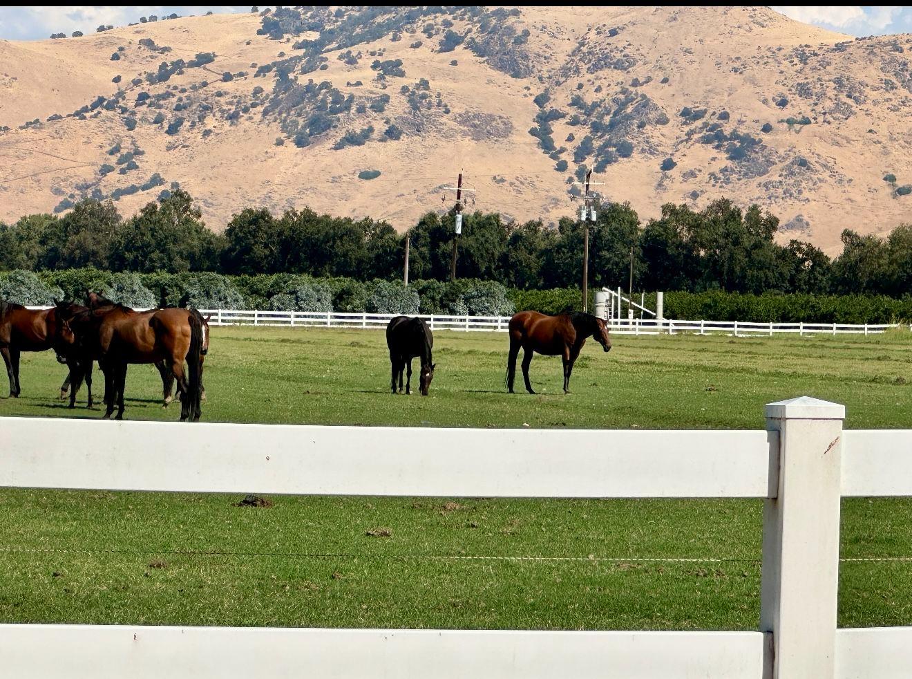 17281 E Belmont Ave, Sanger, CA 93657