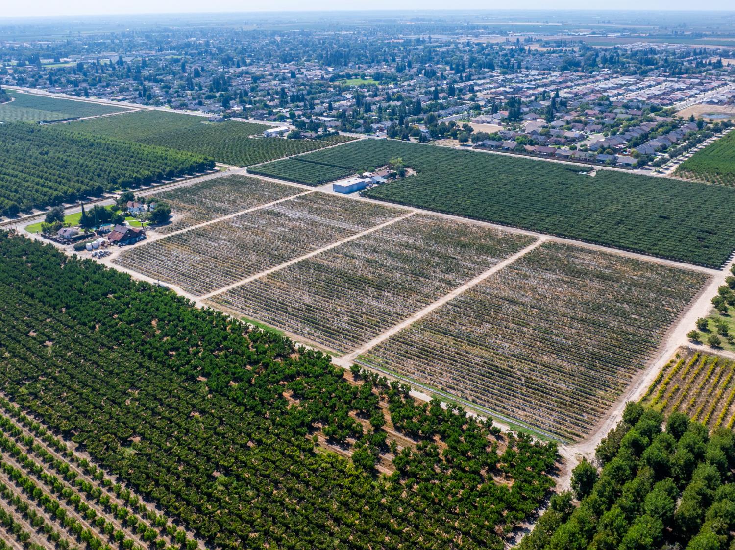 14192 E Kamm, Kingsburg, CA 93631