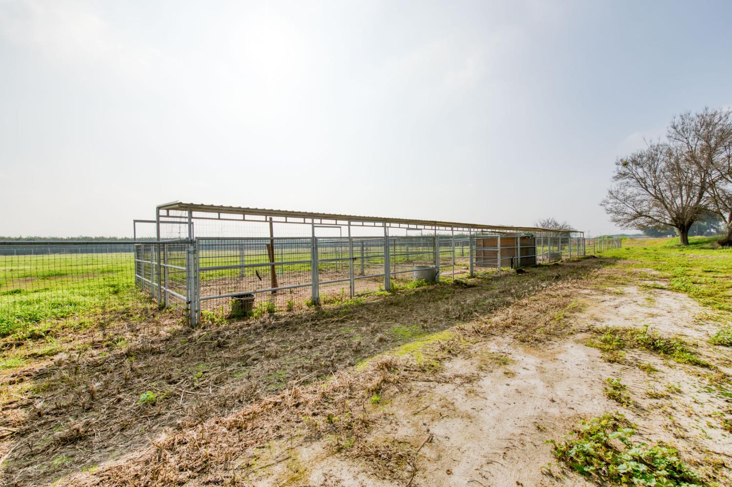 17281 E Belmont Ave, Sanger, CA 93657