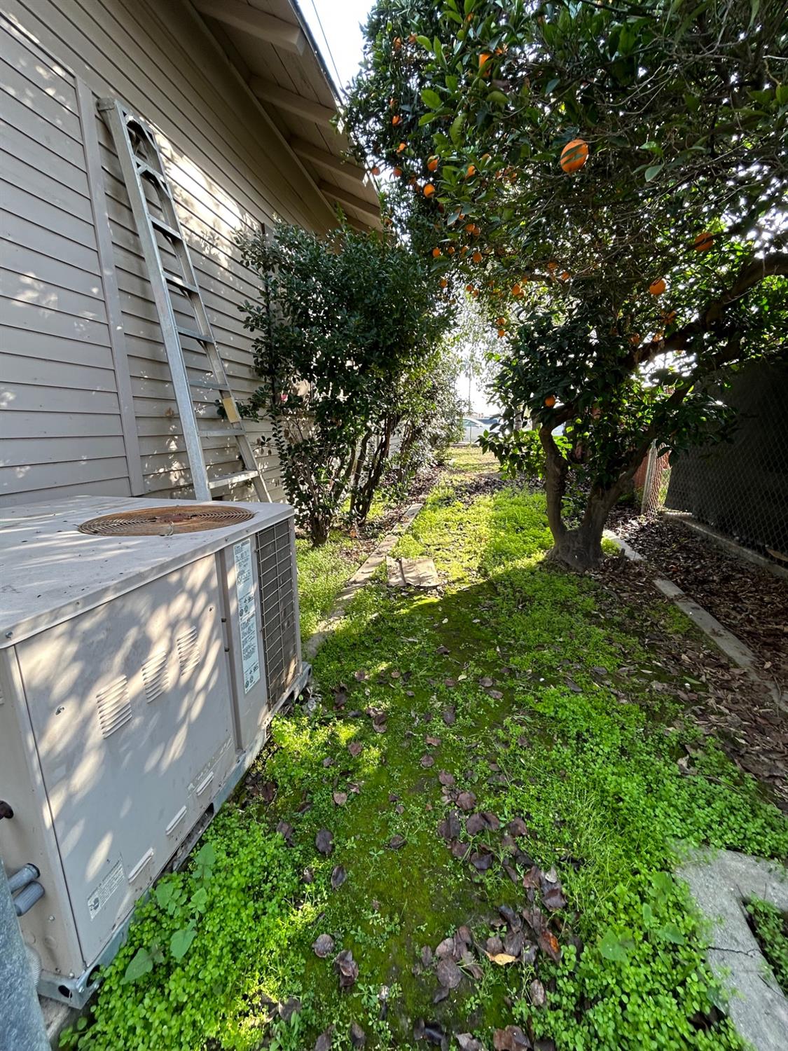 2226 Arrants St, Selma, CA 93662