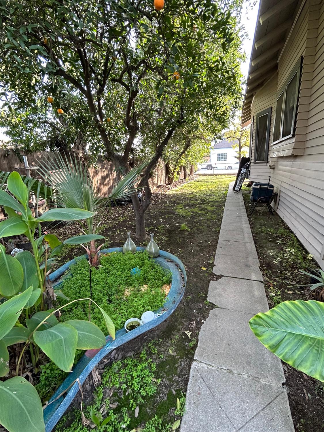 2226 Arrants St, Selma, CA 93662