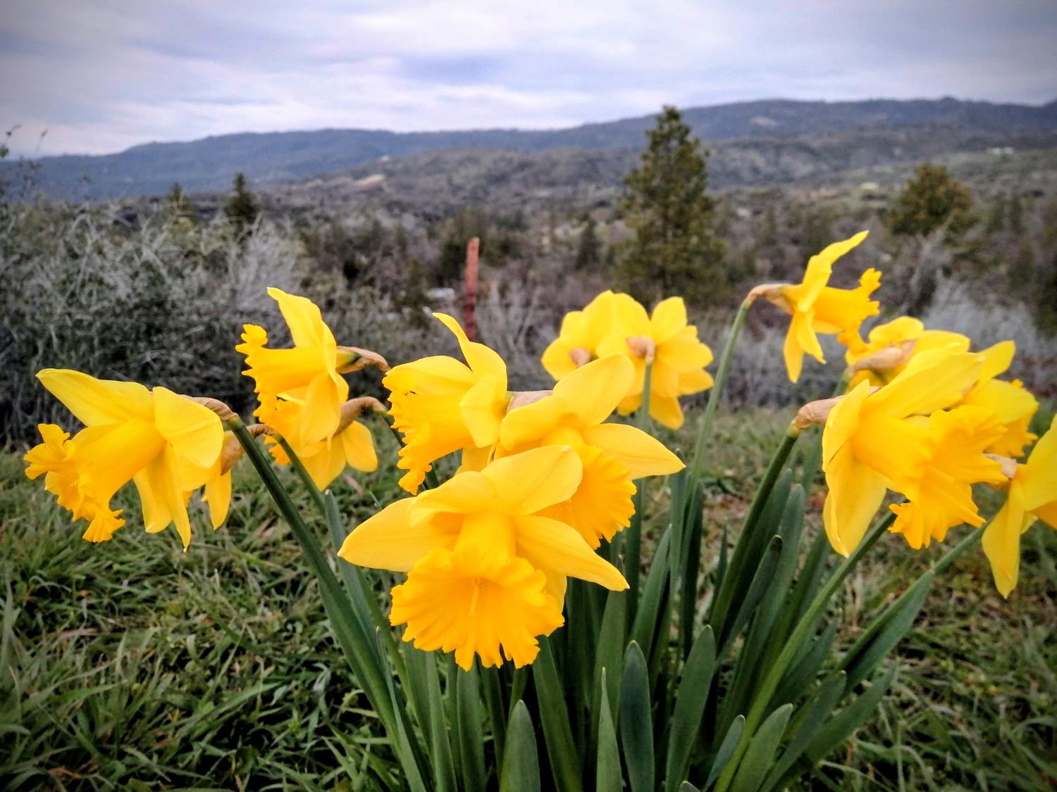 46771 Dunlap Rd, Miramonte, CA 93641