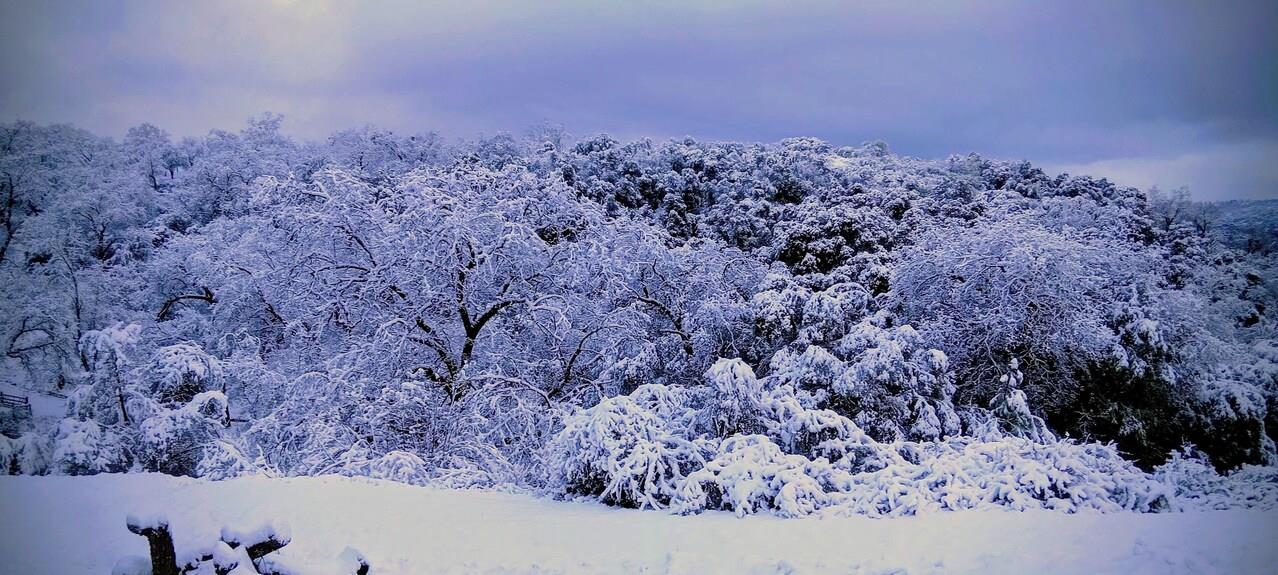 46771 Dunlap Rd, Miramonte, CA 93641