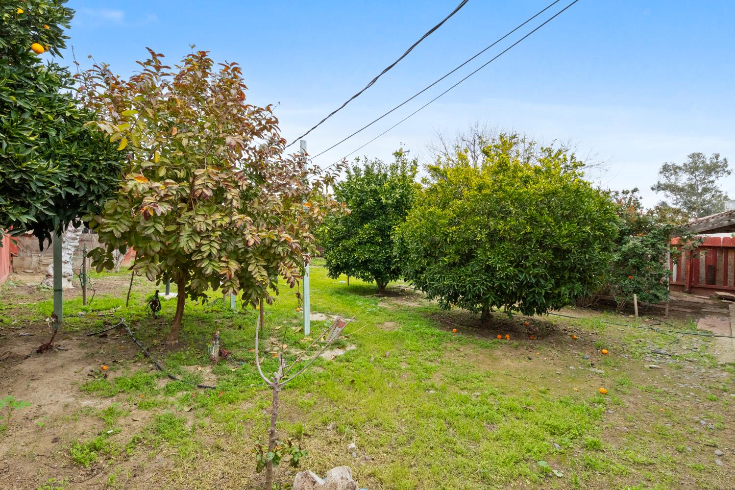 309 E Kern St, Avenal, CA 93204