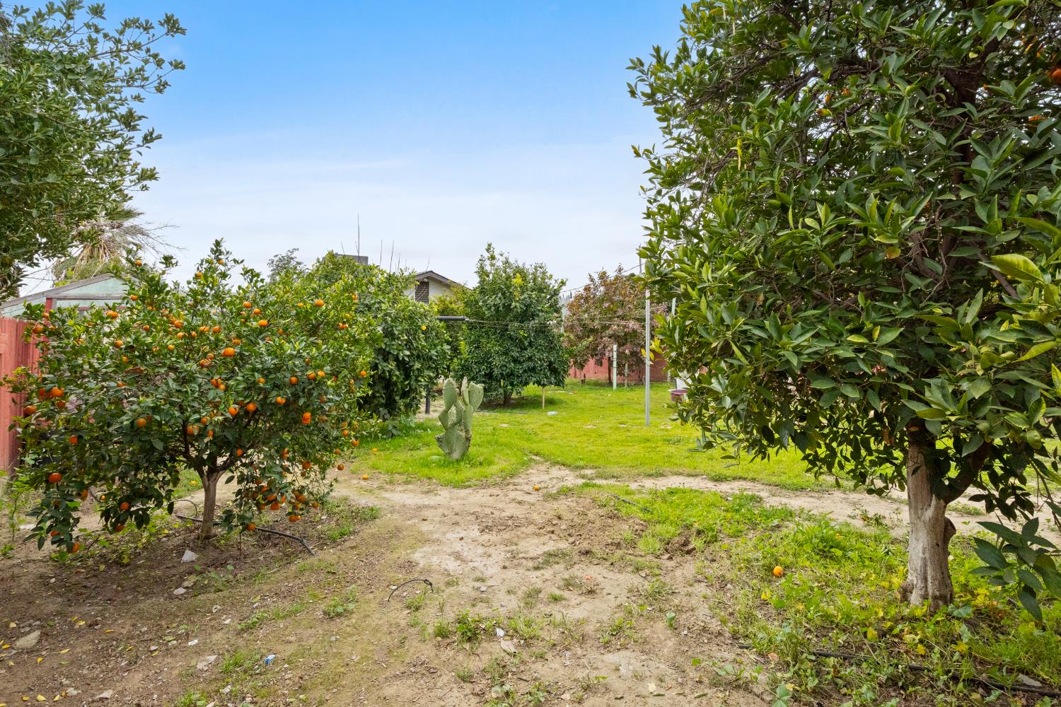 309 E Kern St, Avenal, CA 93204