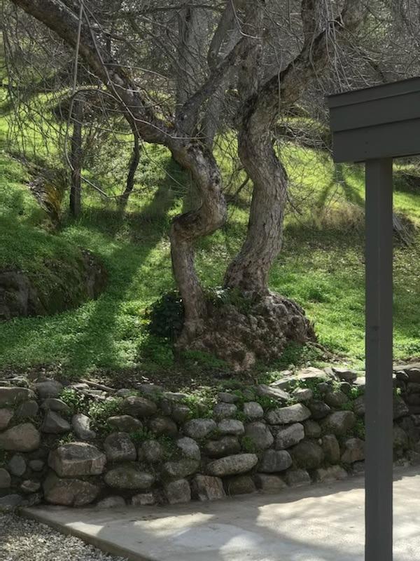 35415 35429 Highway 41, Coarsegold, CA 93614