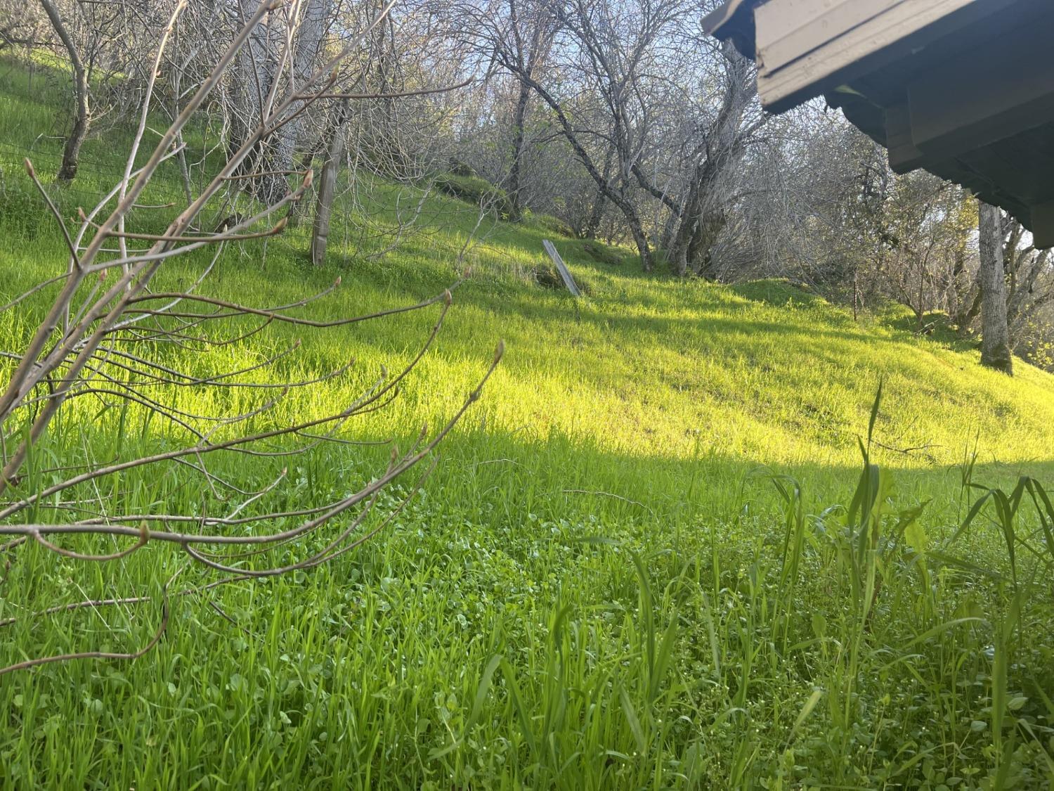 35415 35429 Highway 41, Coarsegold, CA 93614