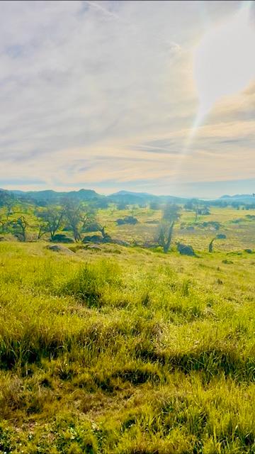 14256 E Shepherd Ave, Clovis, CA 93619