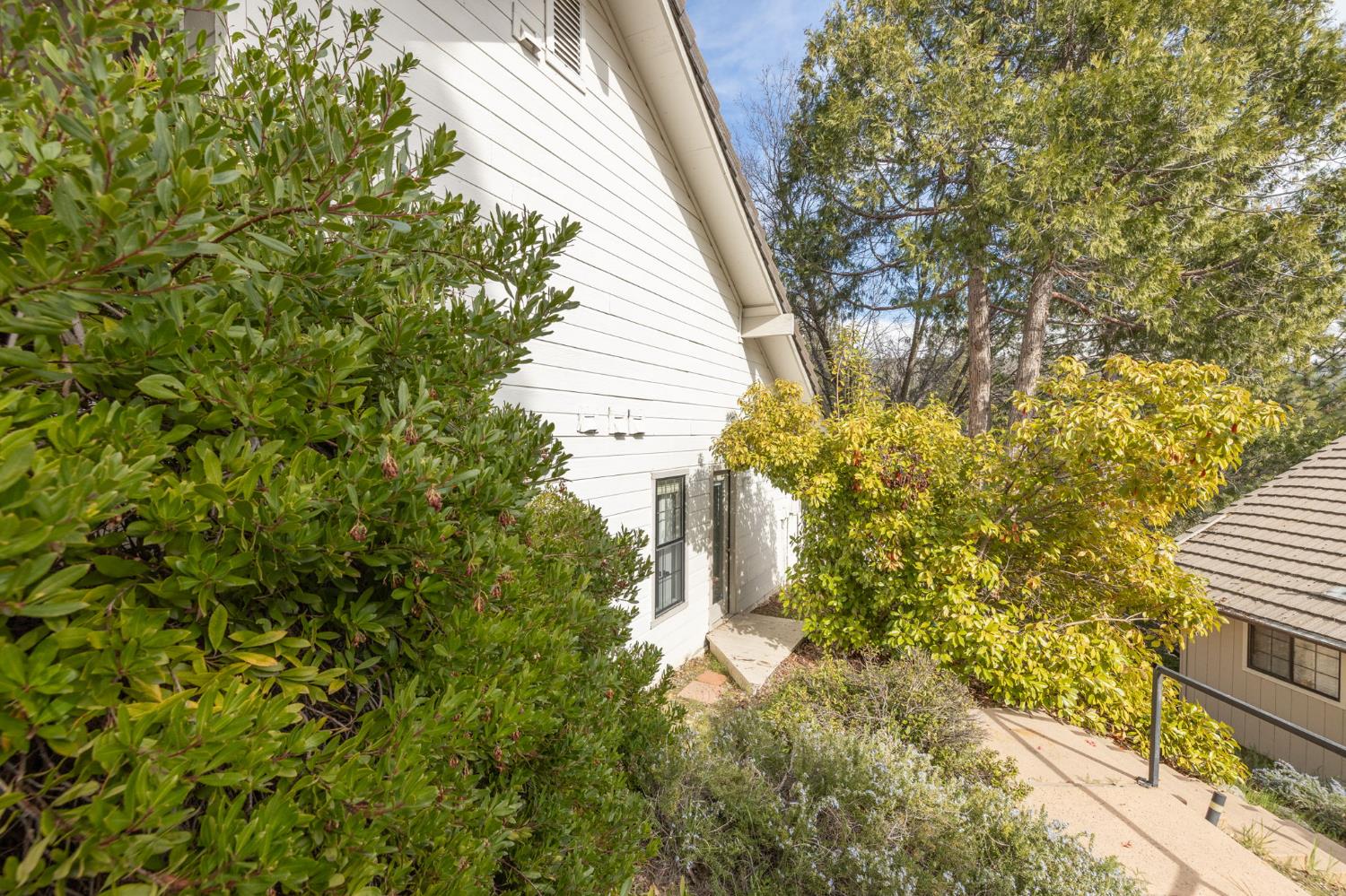 50850 Smoke Tree, Bass Lake, CA 93604