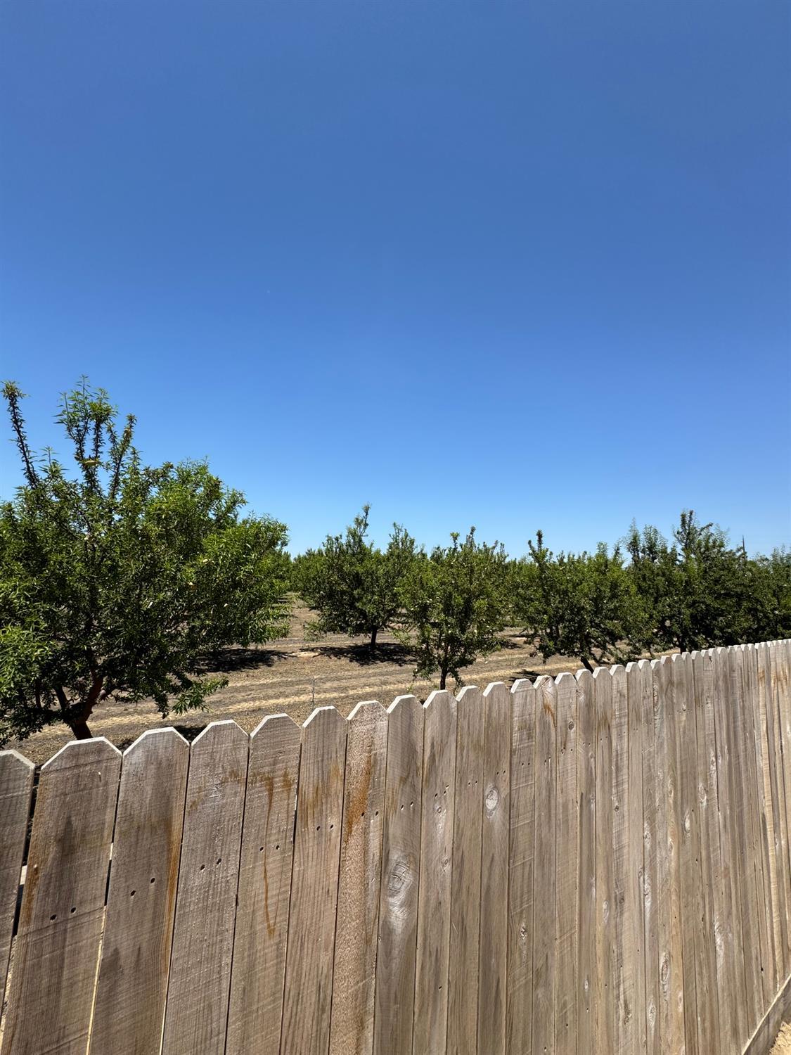 1905 George Ave, Sanger, CA 93657