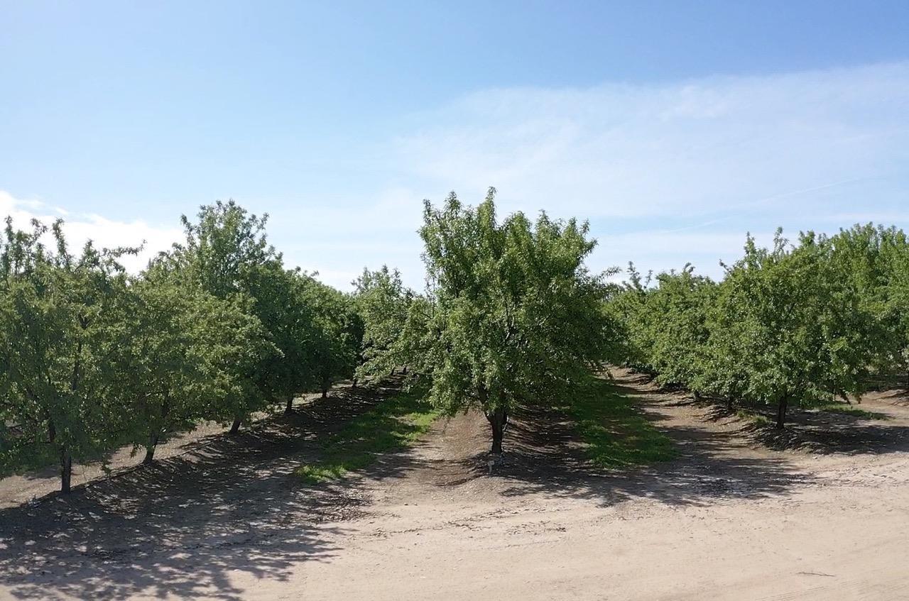 5923 N Biola Ave, Fresno, CA 93723