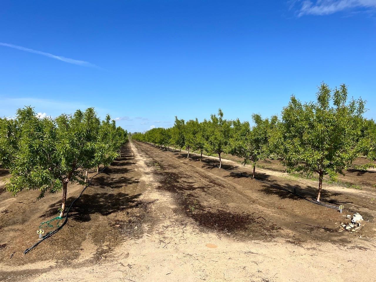 5923 N Biola Ave, Fresno, CA 93723