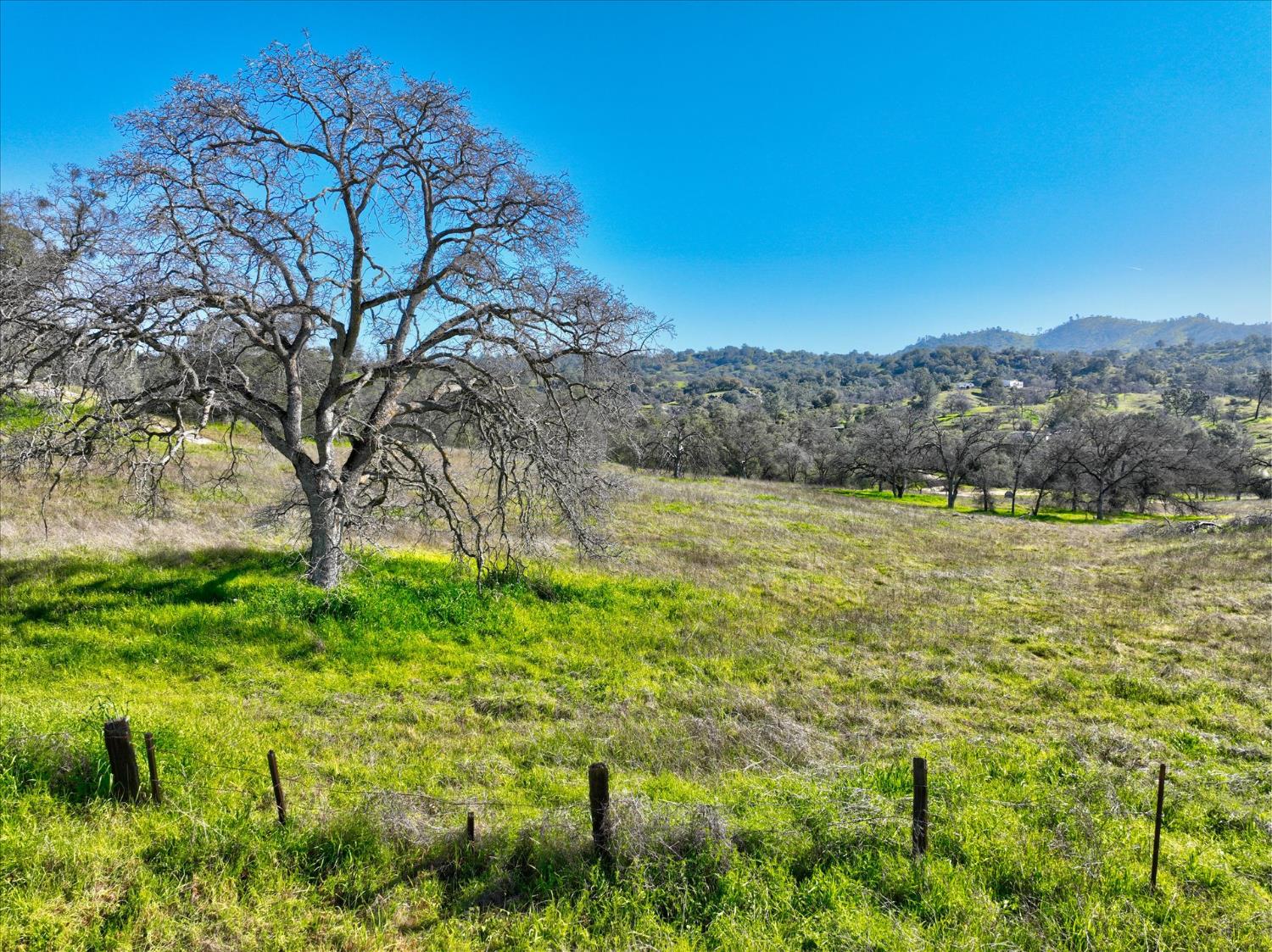 0 13.5AC Road 211, Friant, CA 93626