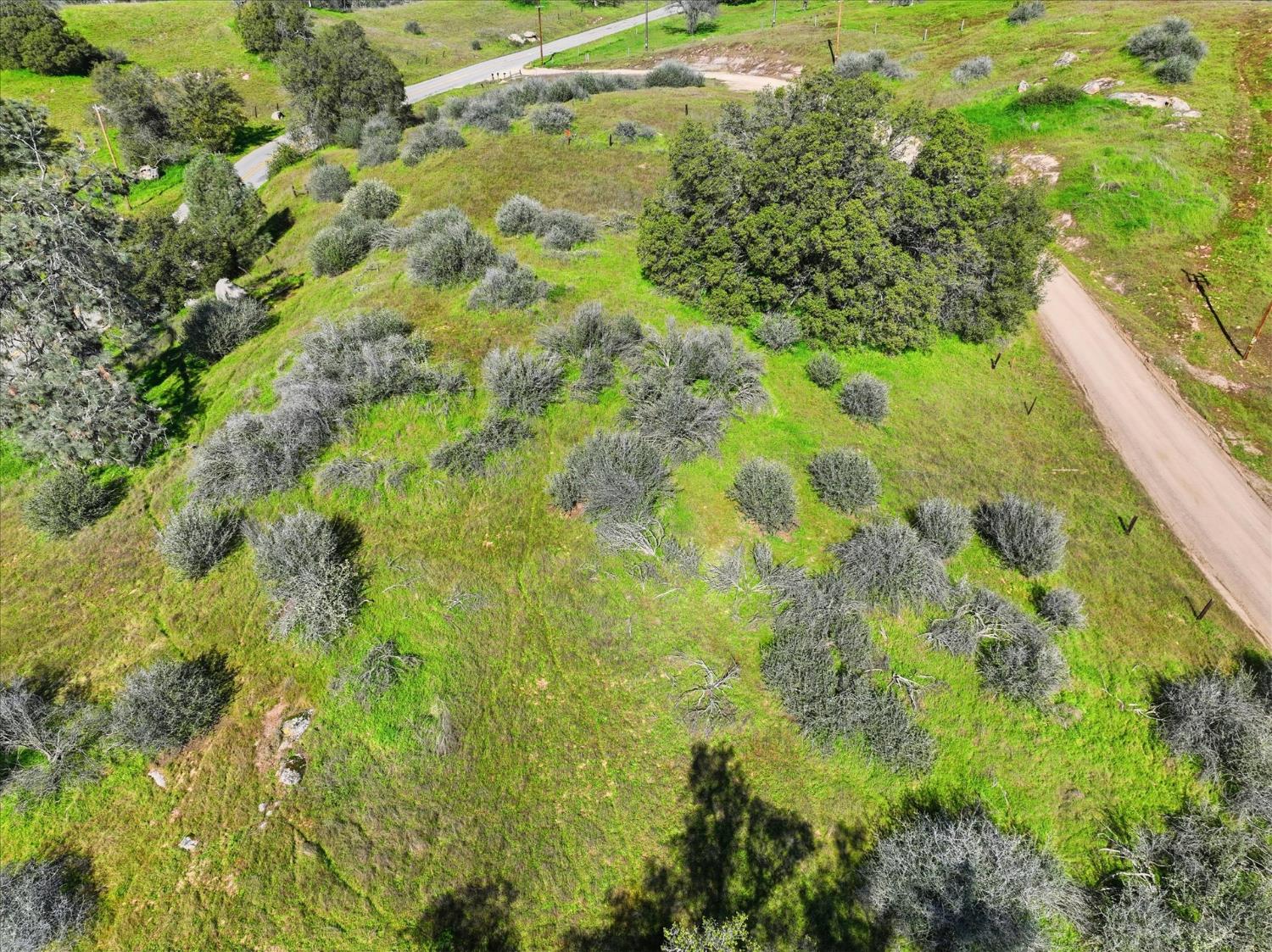 0 13.5AC Road 211, Friant, CA 93626