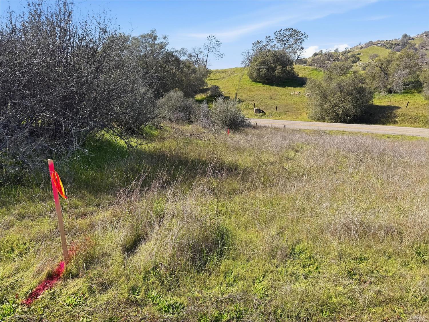 0 13.5AC Road 211, Friant, CA 93626