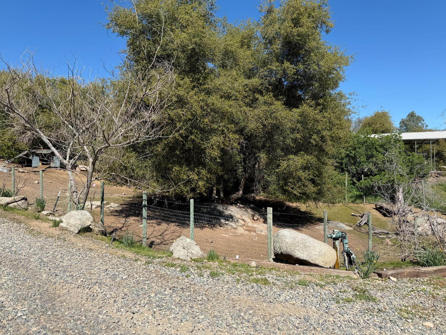 33478 Spreading Oak Ln, Auberry, CA 93602