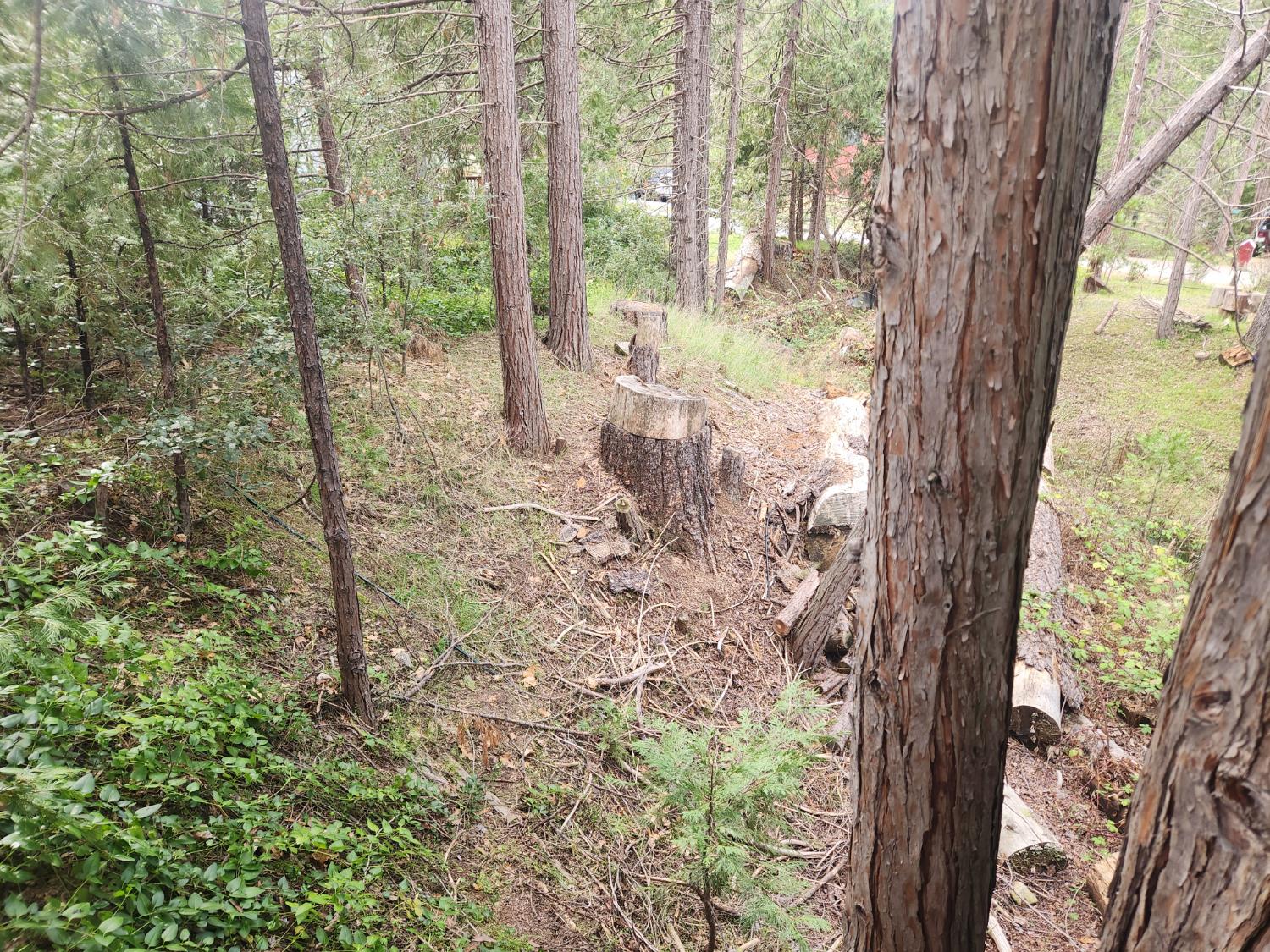 36116 Popi Poyah, North Fork, CA 93643