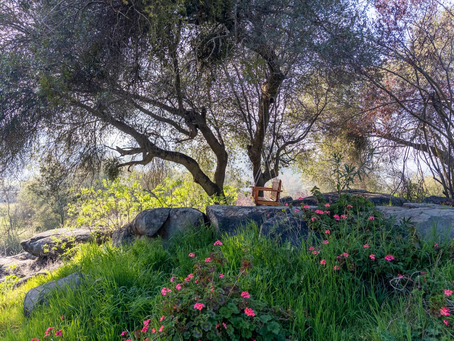 38758 Aster Ln, Yokuts Valley, CA 93675