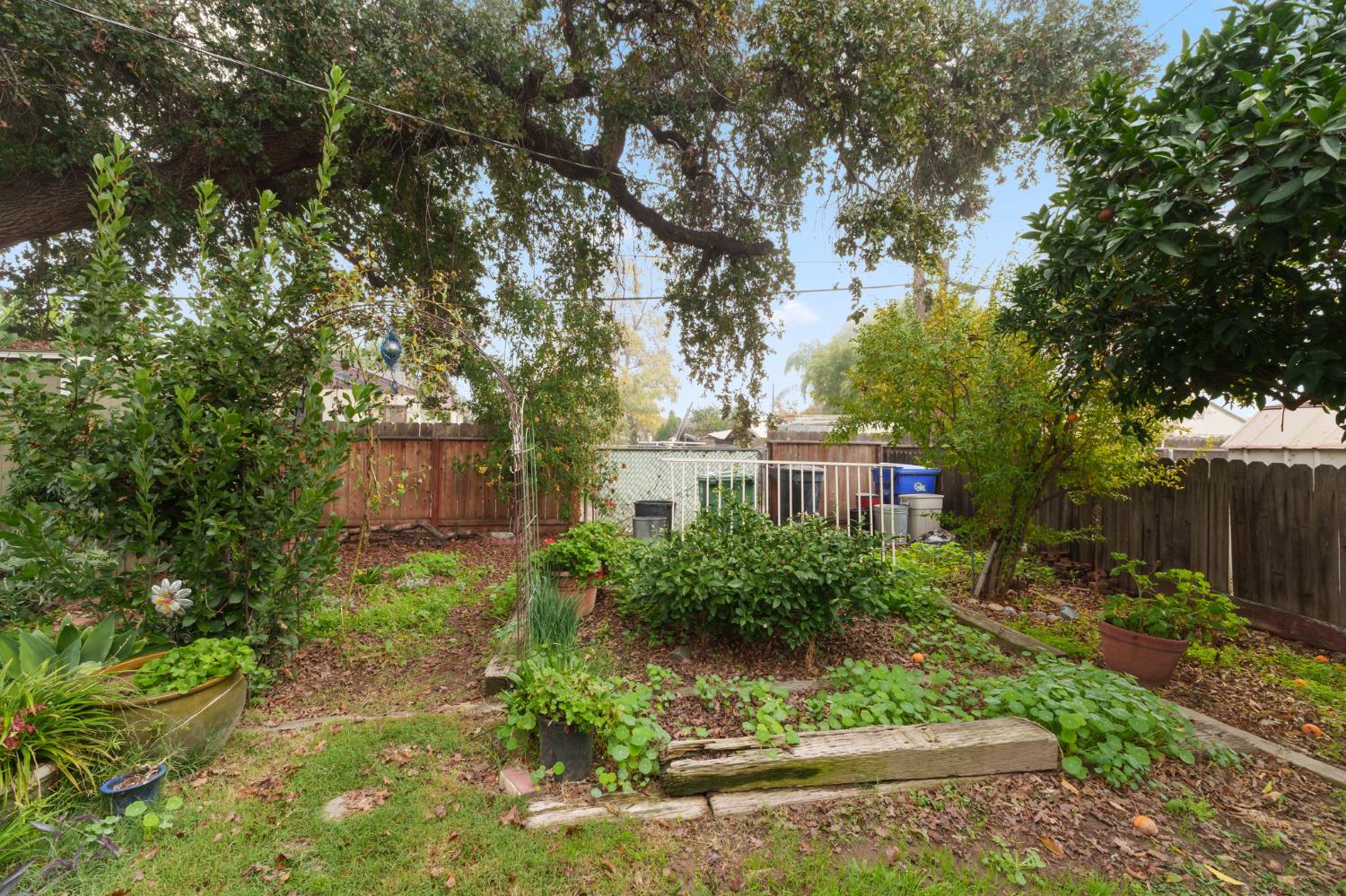 1312 P St, Sanger, CA 93657