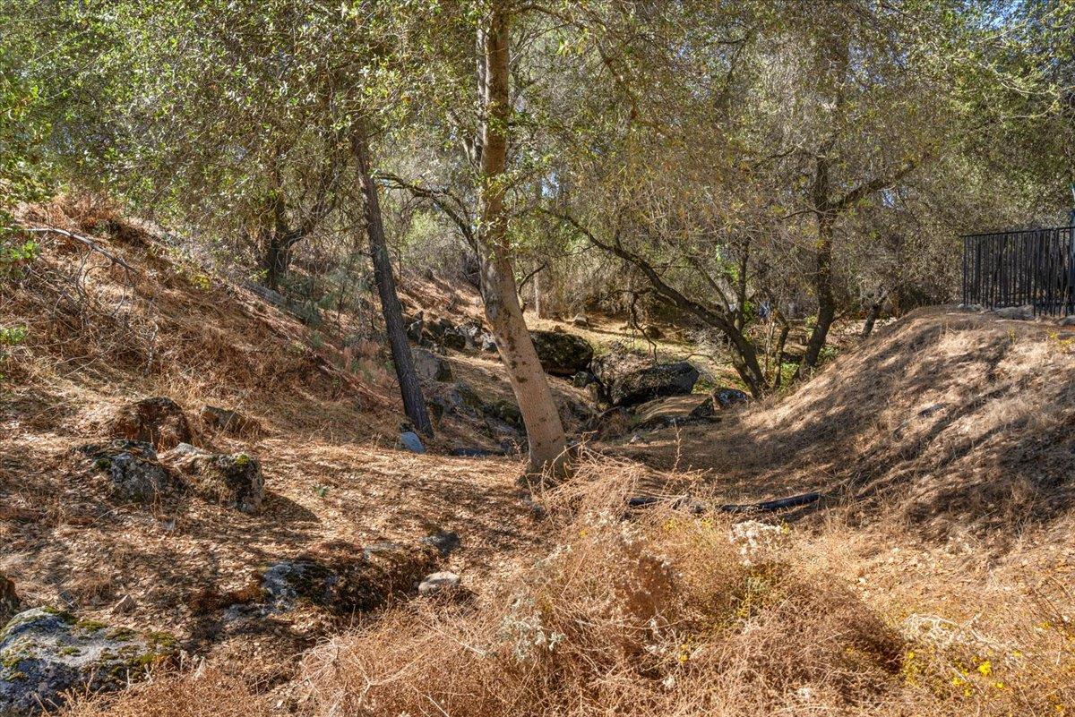 41391 Long Hollow Ln, Coarsegold, CA 93614