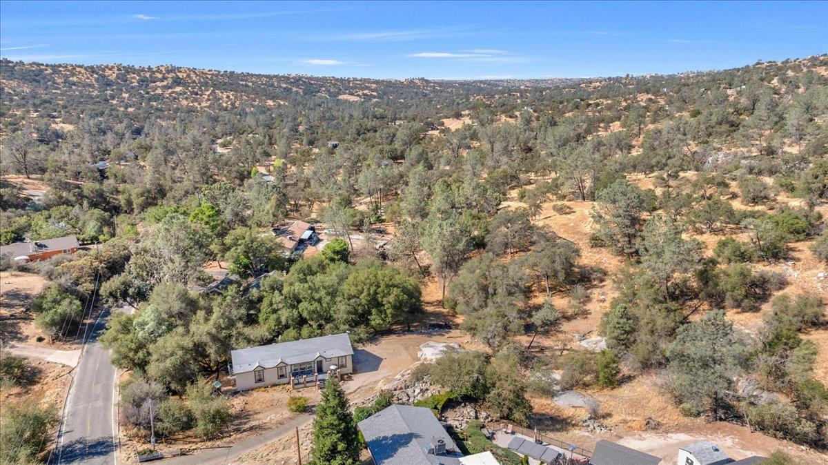 41391 Long Hollow Ln, Coarsegold, CA 93614