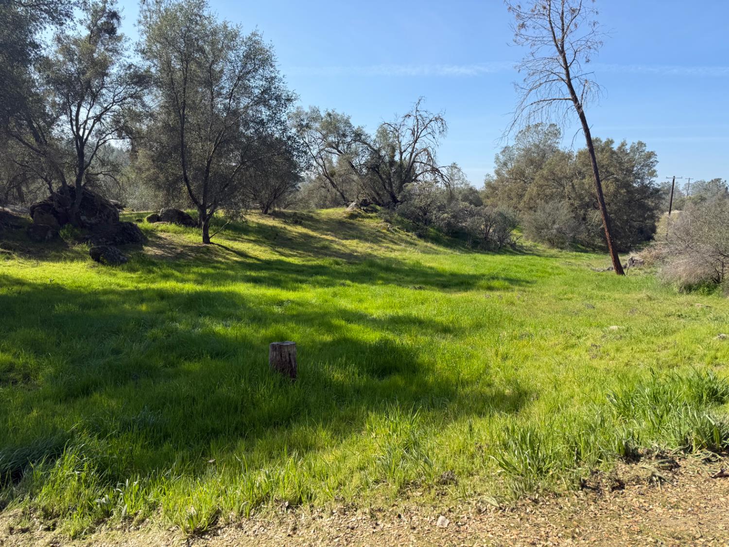 0 0 Long Hollow Drive, Coarsegold, CA 93614