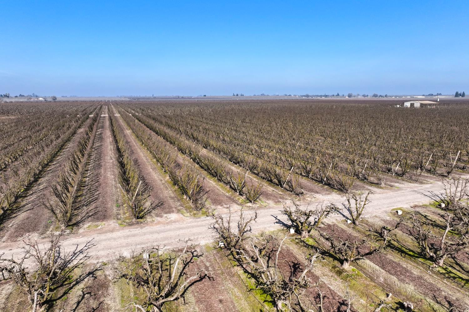 0 0 Elder Avenue, Hanford, CA 93230