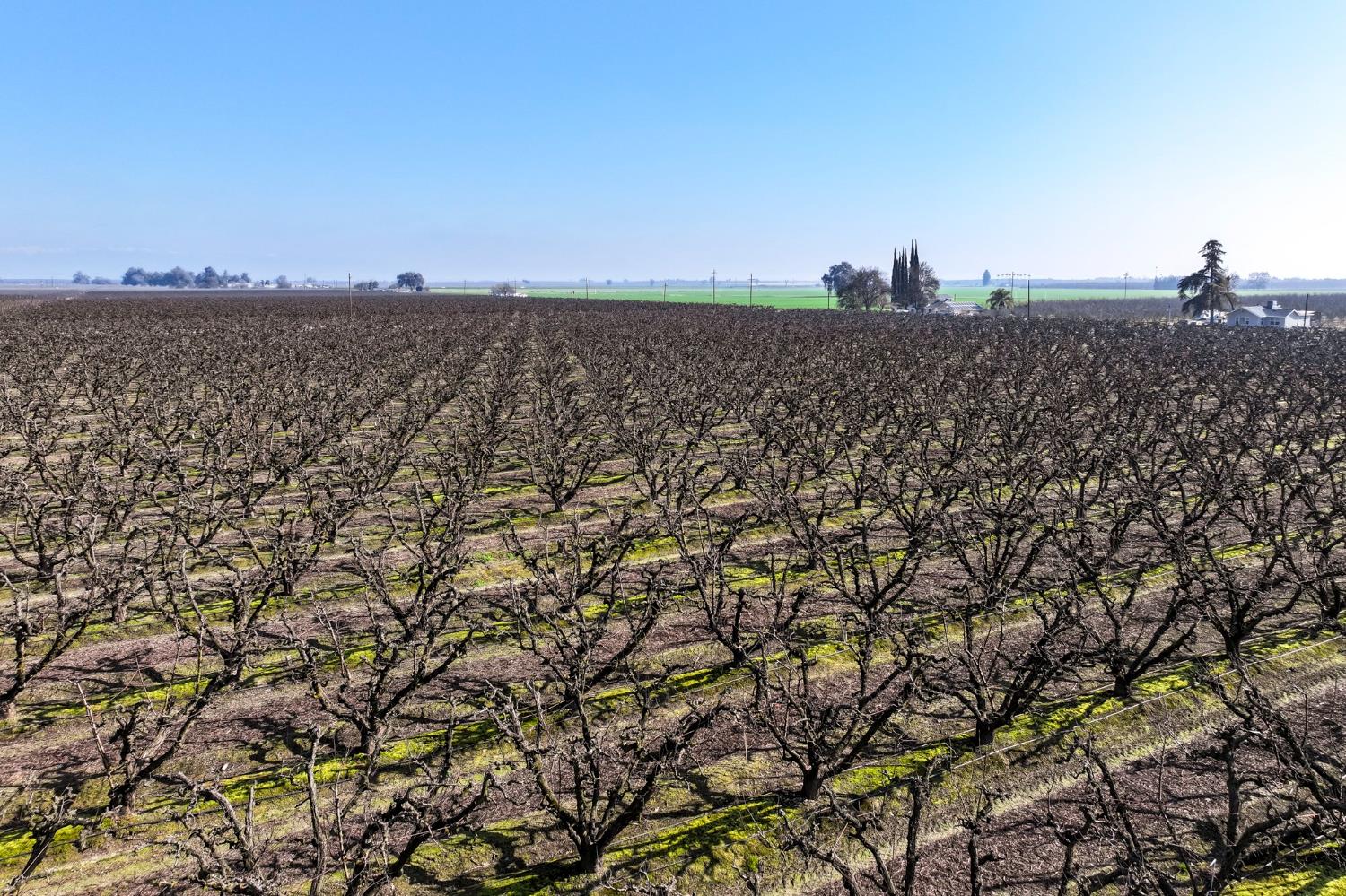 0 0 Elder Avenue, Hanford, CA 93230