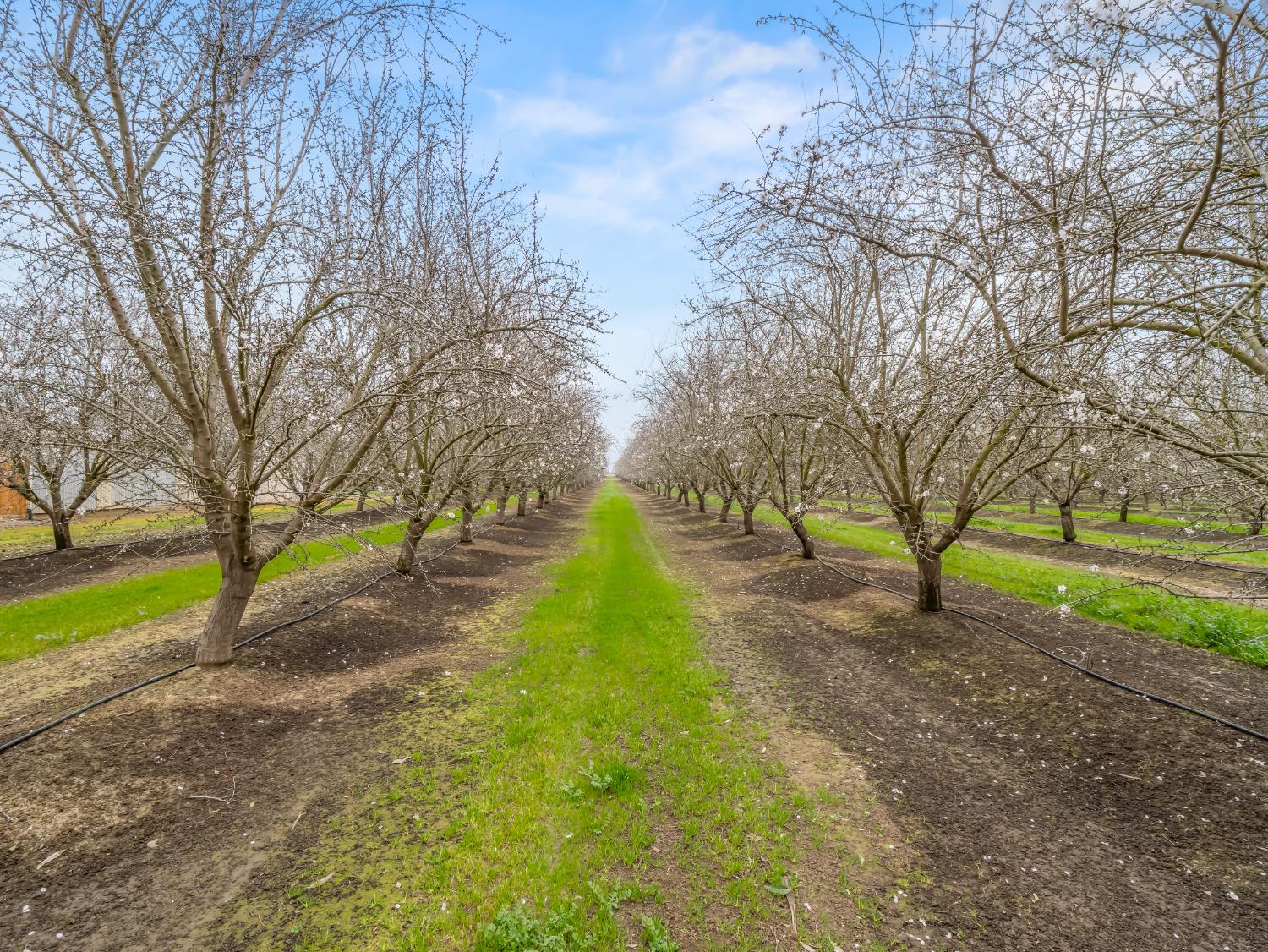 4494 Cook St, Le Grand, CA 95333