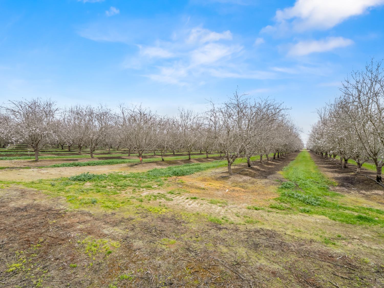 4494 Cook St, Le Grand, CA 95333