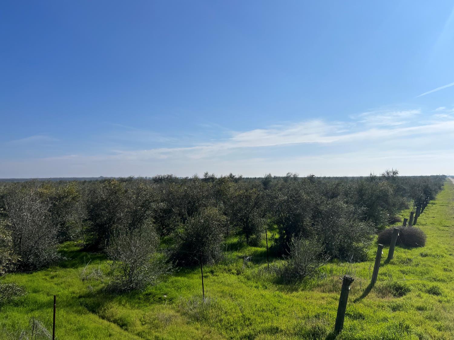 0 00 American Ave W, Kerman, CA 93630